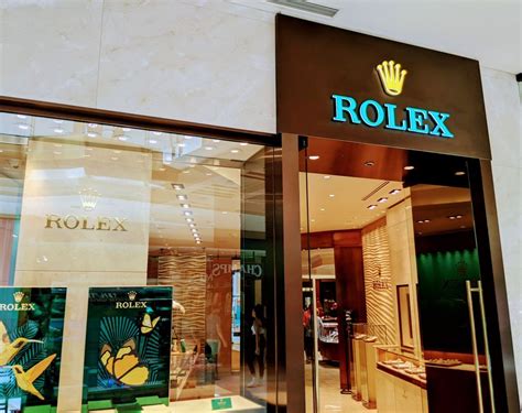 rolex for sale tampa|rolex watches tampa fl.